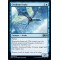 Cerulean Drake