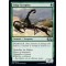 Sedge Scorpion