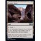 Cryptic Caves