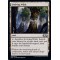 Evolving Wilds