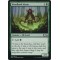 Woodland Mystic