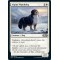 Alpine Watchdog
