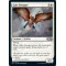 Gale Swooper