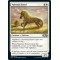 Valorous Steed