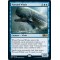 Pursued Whale