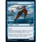 Tide Skimmer