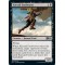 Kitesail Freebooter