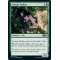 Canopy Stalker
