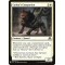 Cathar's Companion