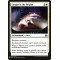 Caught in the Brights