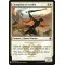 Champion of Arashin