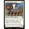 Coalition Honor Guard