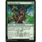 Ambassador Oak