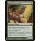 Basking Rootwalla