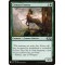 Centaur Courser