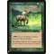 Centaur Glade