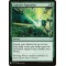 Explosive Vegetation