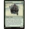 Feral Krushok