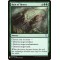 Rain of Thorns