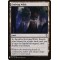 Evolving Wilds