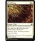 Pitfall Trap