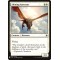 Shining Aerosaur