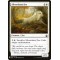 Silverchase Fox