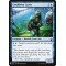 Coralhelm Guide