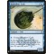 Horseshoe Crab