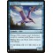 Welkin Tern
