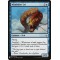 Windrider Eel