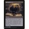 Shrouded Lore