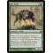 Rot Wolf