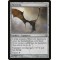 Skinwing