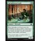 Springbloom Druid