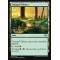 Tranquil Thicket