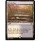 Marsh Flats