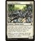 Conclave Phalanx