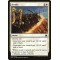 Fortify