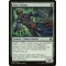 Simic Initiate