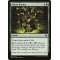Sylvan Bounty