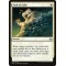 Path to Exile