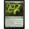 Primal Command
