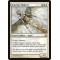 Adarkar Valkyrie