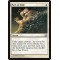 Path to Exile