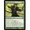 Moldervine Cloak