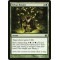 Sylvan Bounty