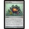 Lotus Bloom