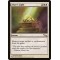 Altar's Light