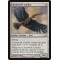 Clockwork Condor